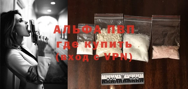 гидра Белокуриха
