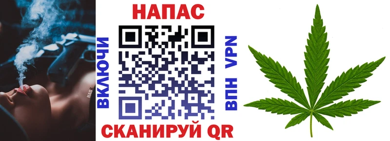 Канабис планчик Гвардейск